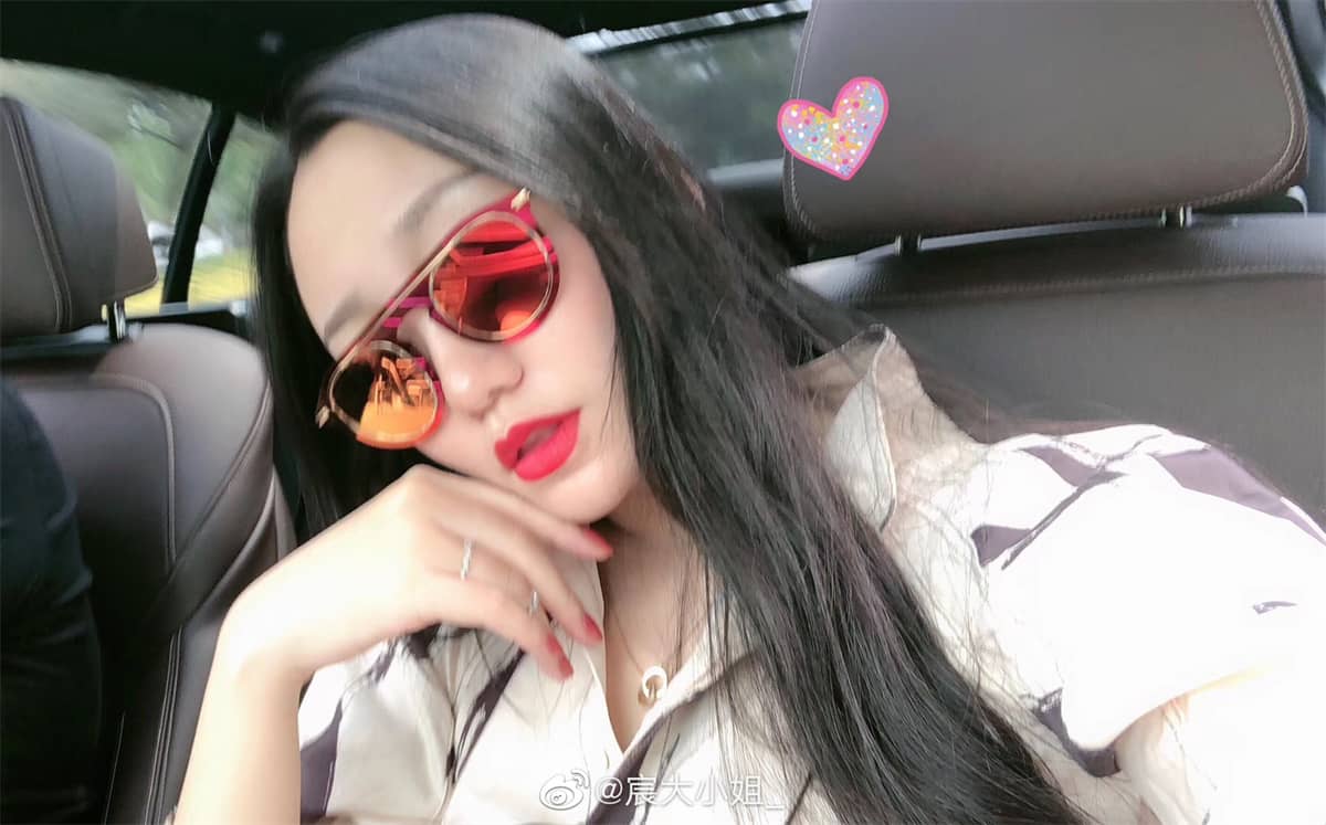 宸大小姐 (2)